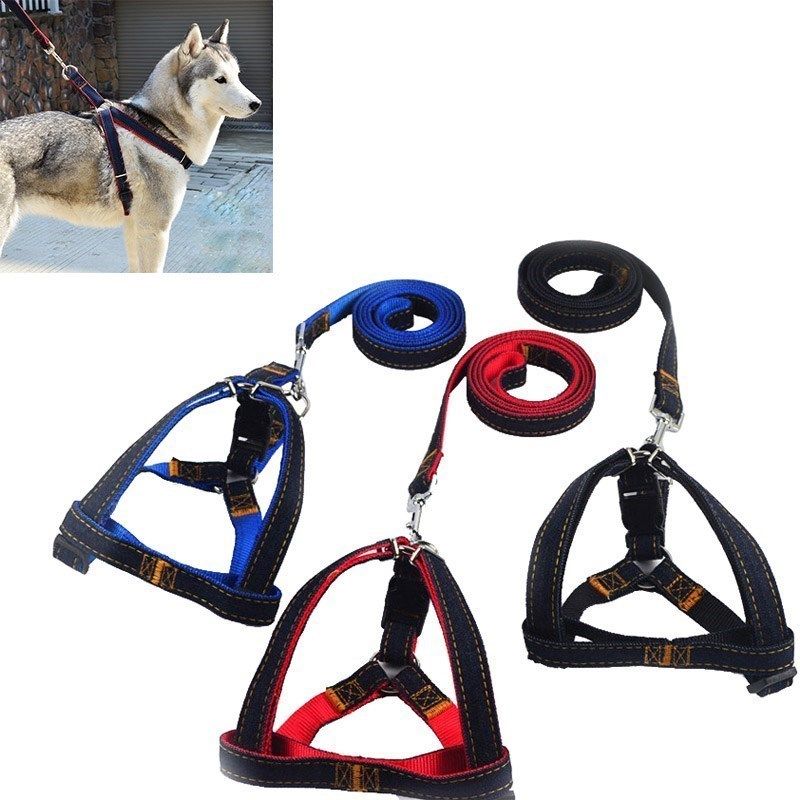 极速New Colorful Jean Denim Leash Harness DoPg Collar Chain
