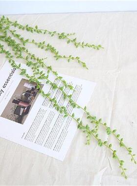 极速2022 2Pc Hanging Wall Plastic ArtiIficial Succulents Bea