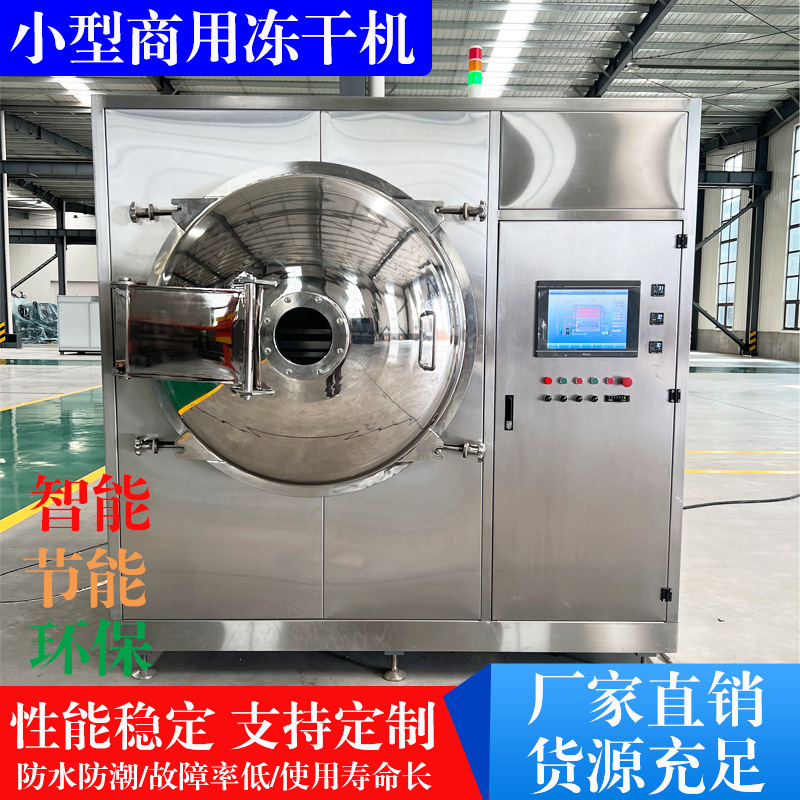 实验型3平方冻干机 百香果沙棘果全自动冻干 海参小型冷冻干燥机