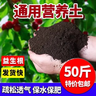 通用型种菜土营养土蔬菜水果专用土花土有机肥养花种植壤多肉绿萝