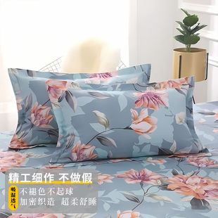 成人加大一对起球磨毛枕头套号不48x74cm家用可枕套工艺加厚水洗