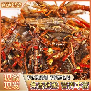 速发现做现发新鲜油炸蚂蚱香辣大蚂蚱小吃蚱蜢蝗虫香辣五香即食昆