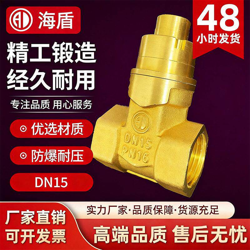 黄铜闸阀4分6分1寸手动锁闭闸阀水管配件家用水管开关铜闸阀