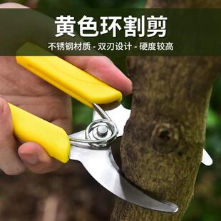 厂家果树环割剪不锈钢园艺剪修枝剪果枝剪割树皮环剥剪刀园林工具