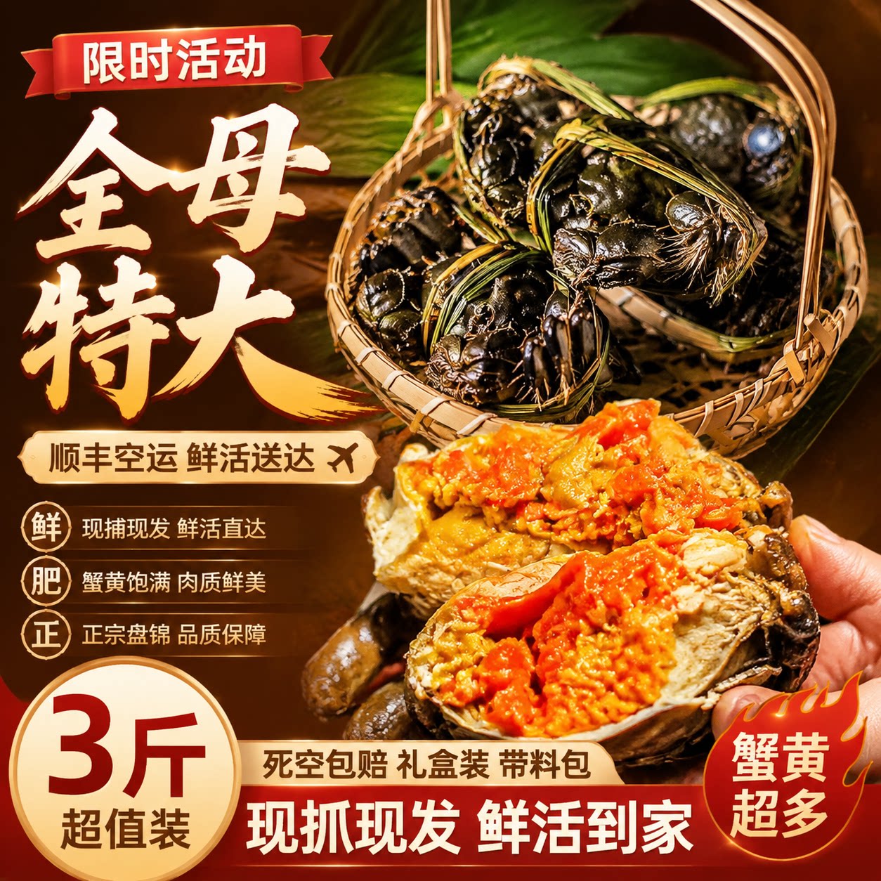 正宗盘锦河蟹鲜活特大闸蟹溜达蟹