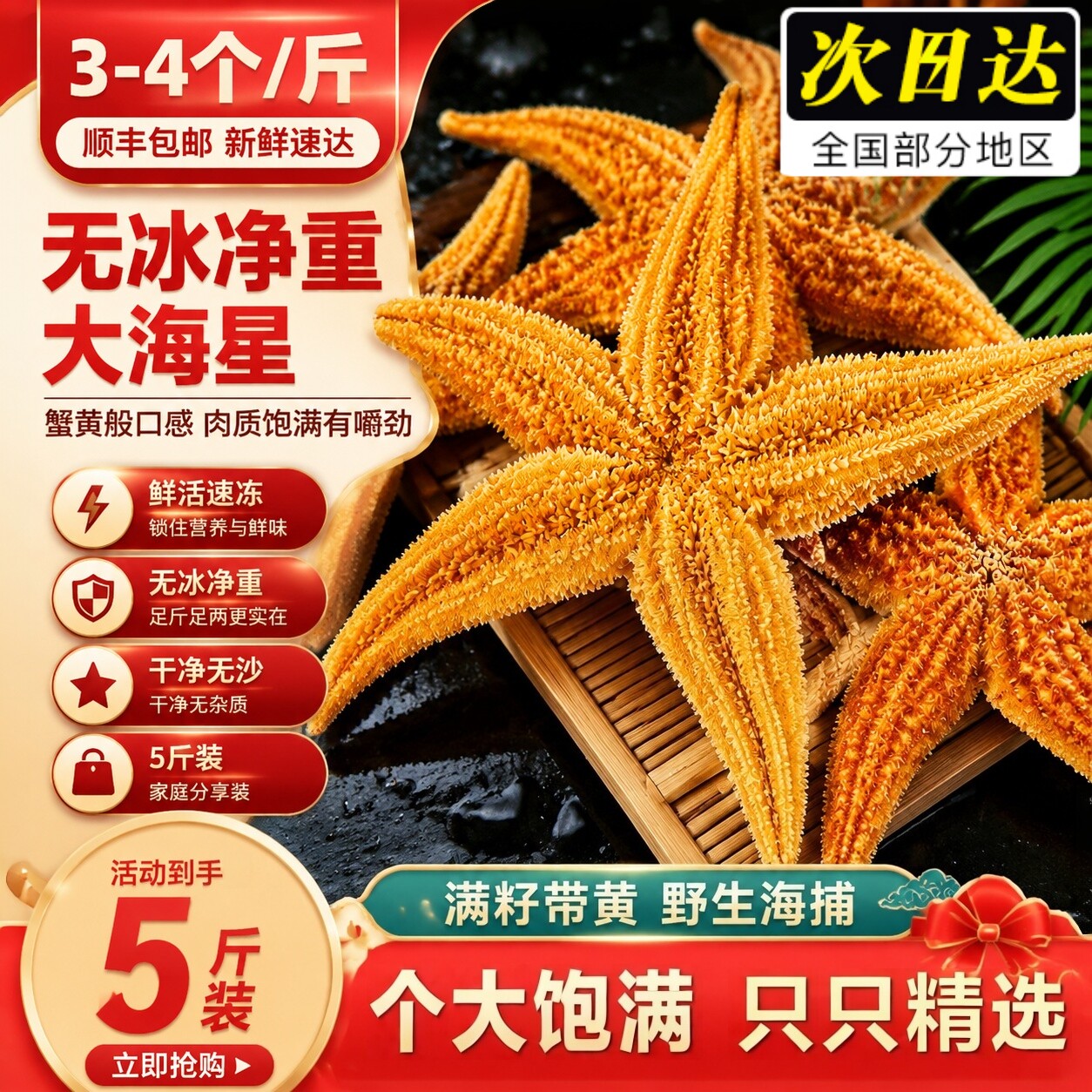 鲜活速冻五腿星海星蒸煮煲汤
