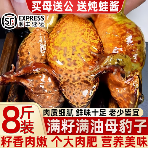 无冰东北林蛙公母当季新货顺丰