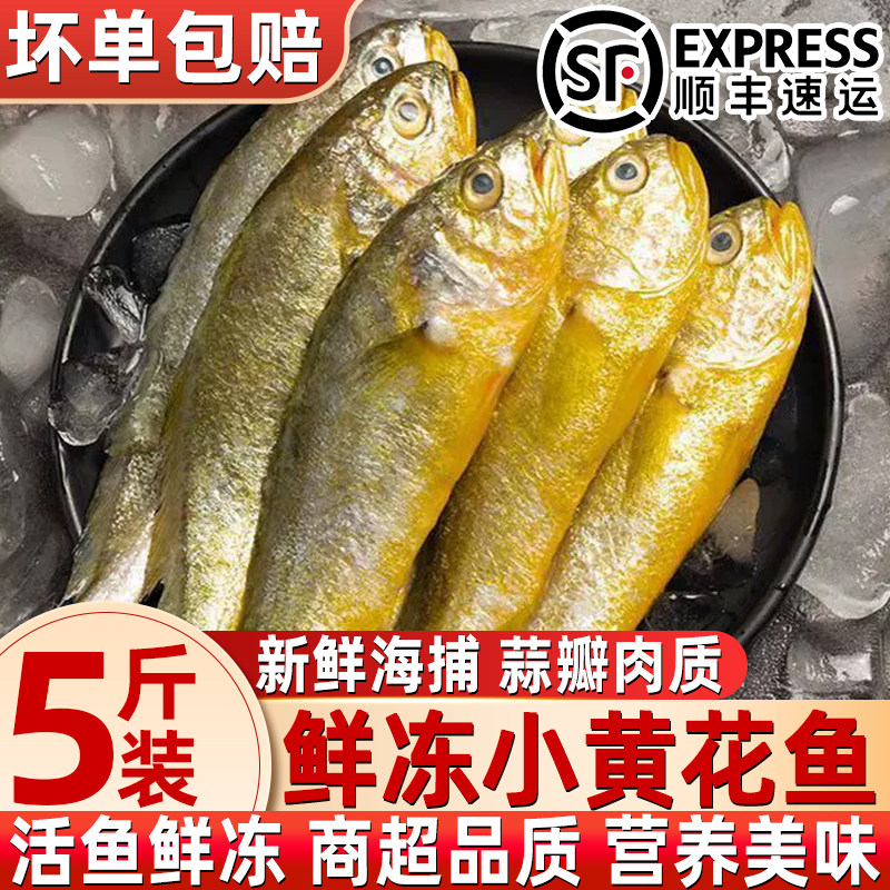 正宗小黄花鱼新鲜冷冻小黄鱼生鲜水产海鲜小黄鱼整箱商用批发顺丰