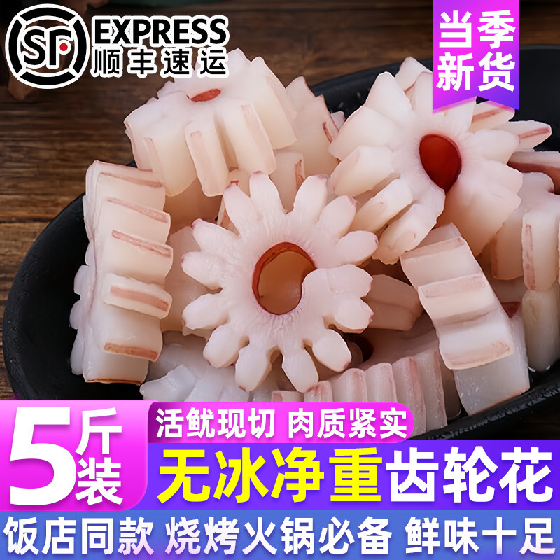 原切无冰净重活鱿鱼齿轮花商用