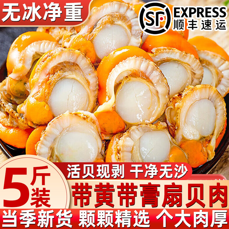 现剥冷冻野生特大扇贝肉整箱