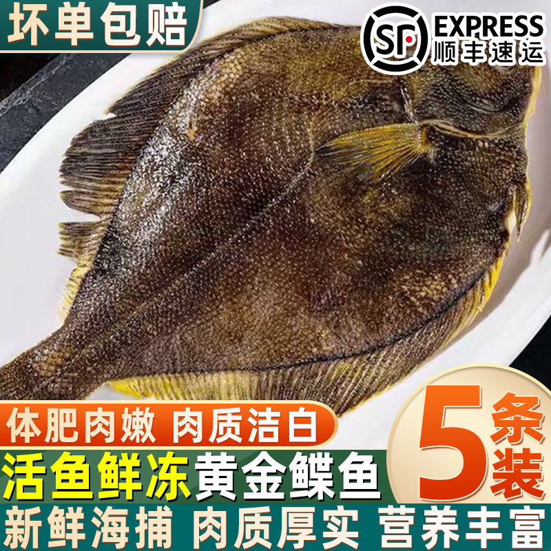 深海船冻鲜冻黄金鲽鱼整条带头