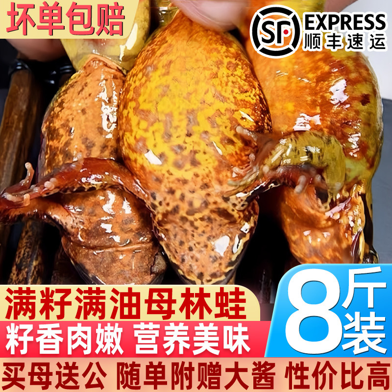 东北蛤蟆林蛙雪蛤母豹子新鲜速冻真空发货正宗林蛙产地顺丰包邮
