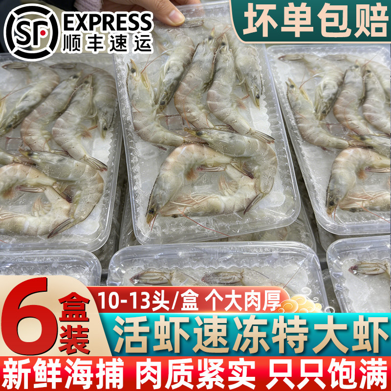 青岛大虾鲜活速冻海虾整盒批发