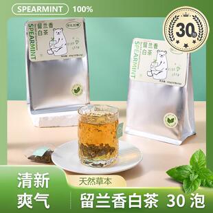 Spearmint留兰香白茶福鼎白茶草本茶无糖无杂茶包