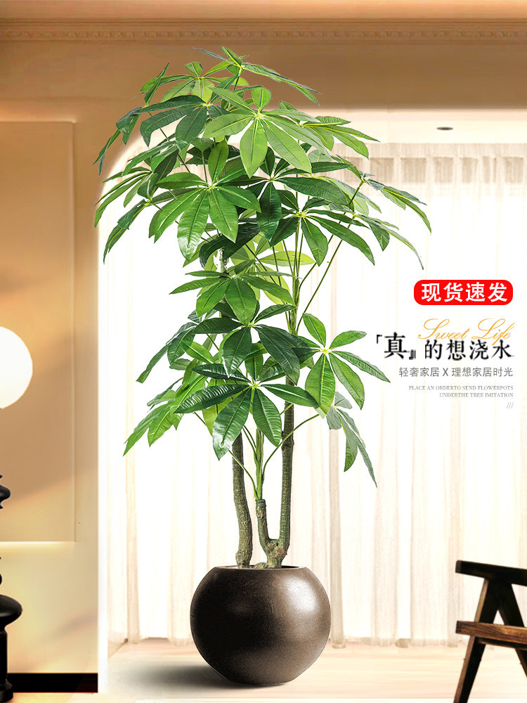 采购产品模拟绿色植物，优雅的可访问的豪华金钱树，室内客厅装饰
