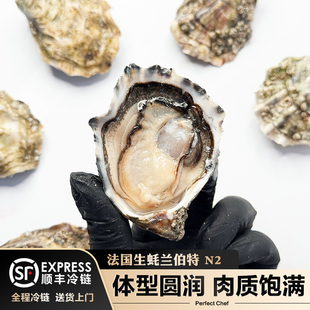只 法國進口生蠔蘭伯特 130g 6只木盒裝 鮮活可刺身牡蠣