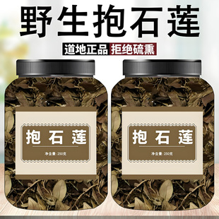 抱石莲新鲜深山天然抱树莲抱石连正宗农产品干货中药材金星草石莲
