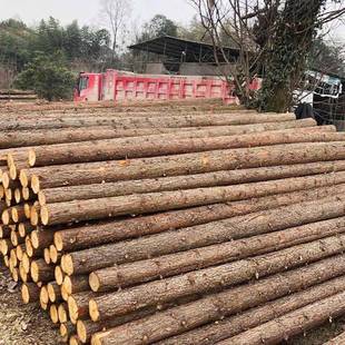 杉木条原木檩工地项目木削尖尺寸可定河桩道杉木檩条治理绿化杉木
