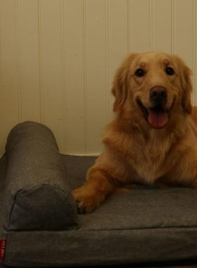 夏季亚物麻记忆床海绵可洗拆PB008-3A卸防水狗窝宠物窝床耐抓磨宠