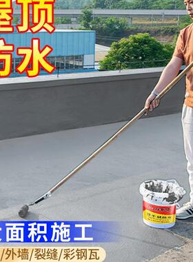 顶漏防涂料屋顶水不水胶防补漏裂缝渗水房顶防OZP漏材料漆