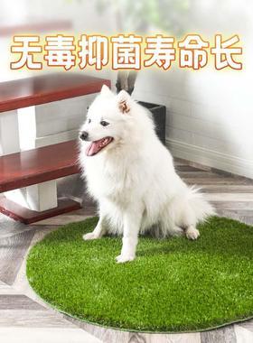 共创造草坪仿真宠人草00027坪垫狗狗猫咪厕所假草皮尿垫隔物热毯