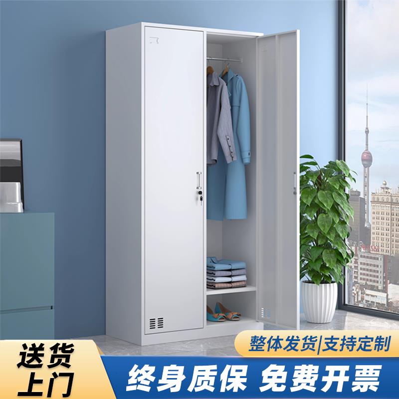 钢制二门更衣柜家用带锁储存物柜寄存工厂员工换衣柜铁皮卧室衣柜
