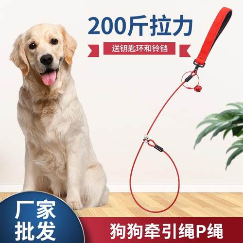 防爆冲狗绳p绳不勒手跨境狗狗遛狗绳宠物p链小中大型犬遛狗牵引绳