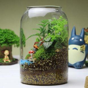 大號(hào)微景觀生態(tài)瓶造景玻璃花瓶水培植物玻璃瓶魚(yú)缸擺件苔蘚瓶帶燈