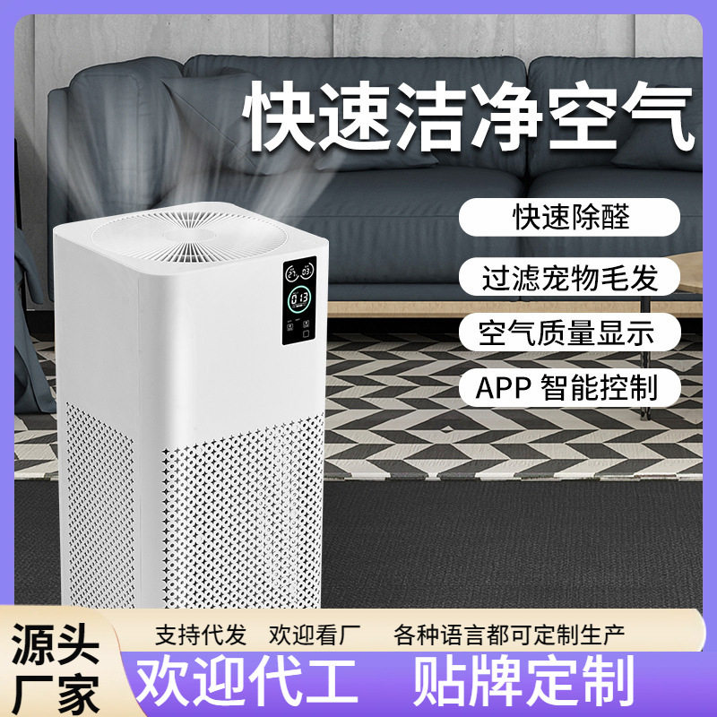 家用小型负离子除醛吸排烟净化器