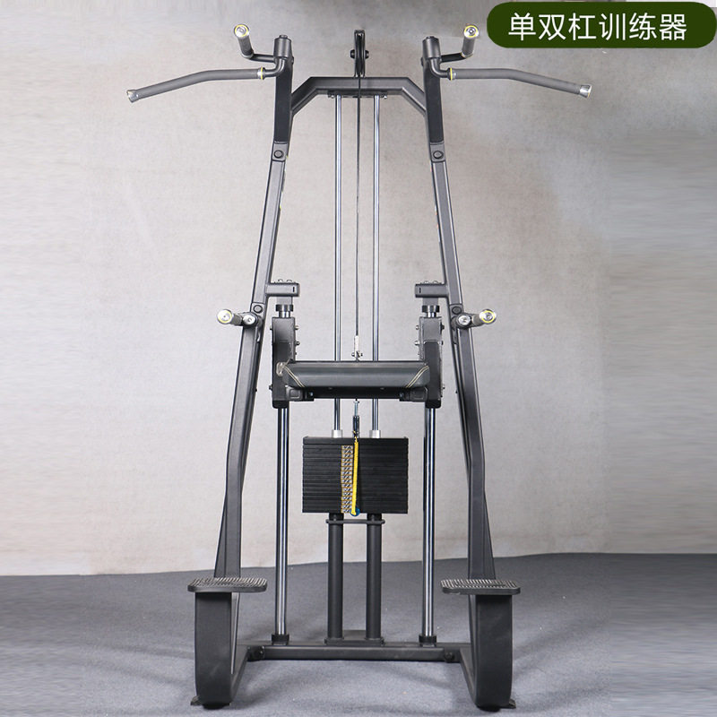 单双杠 Dip/Chin Assist训练器 商用大型健身器 健身房器材
