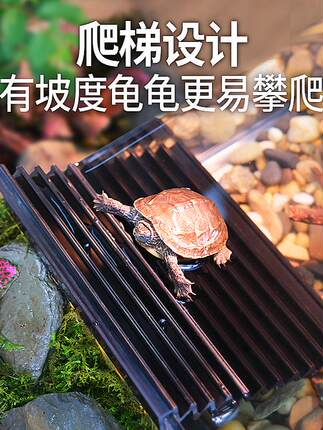 乌龟缸超白玻璃饲养缸水陆两栖香半水龟安缘家用生态鱼缸专用造景