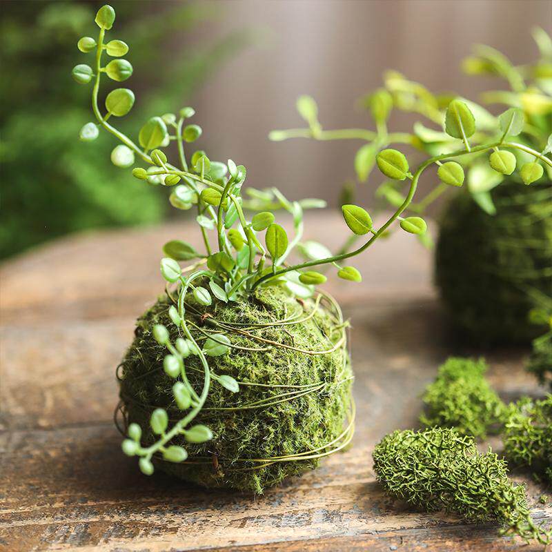 蕨叶小草球仿真苔藓球造景装饰品摆件仿真绿植室内家居饰品小摆件
