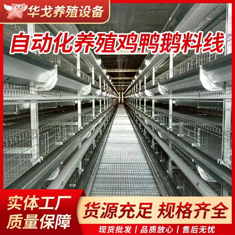 厂家生产养鸡设备养鸡料线自动喂料线全自动上料设备