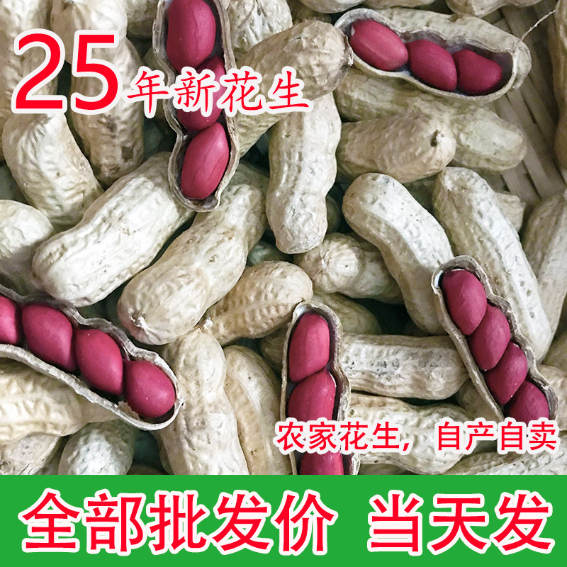 2025年红皮花生带壳生新货新鲜花生红衣带壳晒干花生米花生鲜红皮