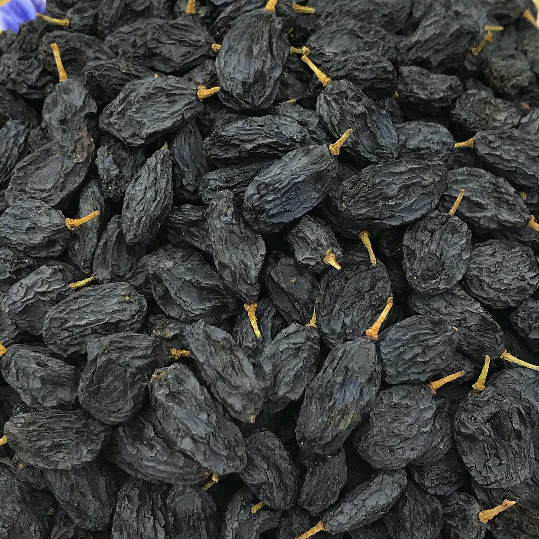 新疆吐鲁番特产黑加仑葡萄干24年新货包邮无添加自然晾晒干果