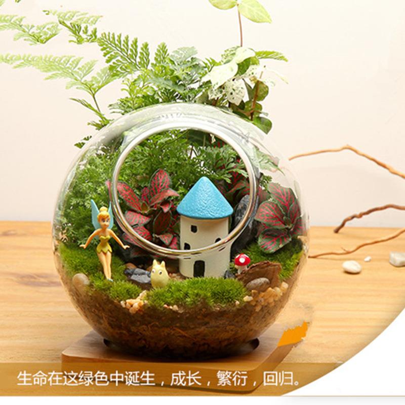 双斜口苔藓微景观植物生态瓶 创意双开口玻璃瓶 迷你玻璃工艺品