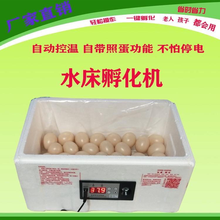 水床孵化机家用型鸡鸭鹅孵化器25/35枚卵蛋箱设备迷您卵蛋机