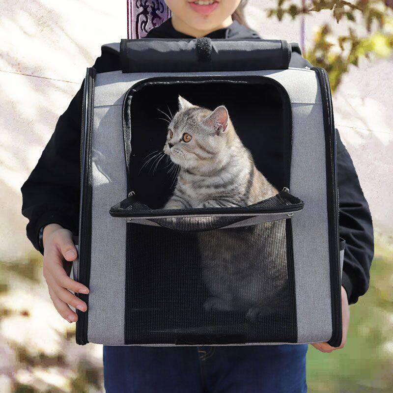 猫包外出便携夏天双肩大
