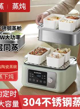 多功能家用电蒸锅电炖锅