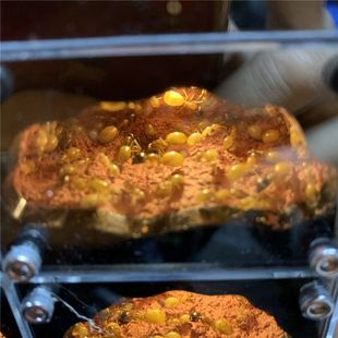 蚂蚁城堡带夜灯饲养盒豪华宠物蚂蚁工坊亚克力超大沙巢生态蚁巢