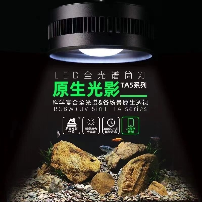 原生溪流缸筒灯爆藻增艳金鱼出苔灯全光谱LED水草灯鱼缸灯