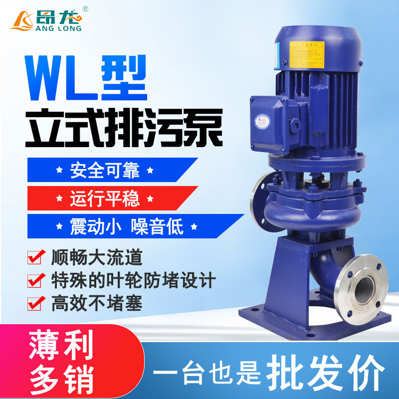 立式管道排污泵 全铜电机低碳增压泵 废水污水脏水处理污水泵
