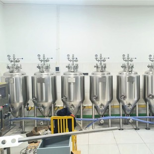 实验室精酿原浆设备高校合作小型酿酒机啤酒发酵罐厂家热卖