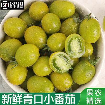 正宗青口蜜小番茄新鲜超甜千禧圣女果青色小西红柿子现摘孕妇水果