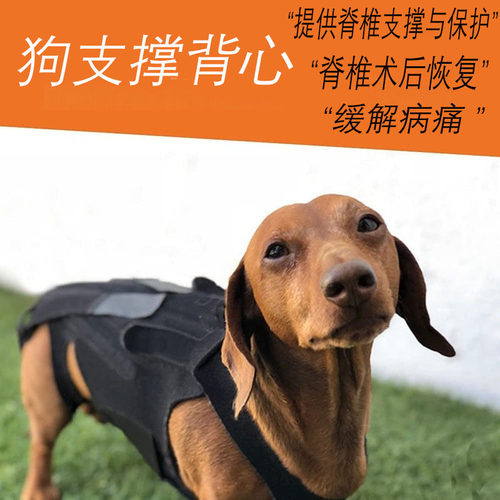 轻薄透气宠物狗脊椎支撑背心马甲