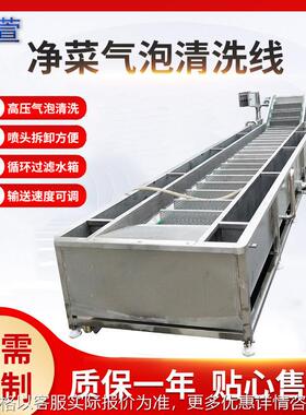 厂家供应 果蔬清洗机 多用途大枣辣椒气泡喷淋清洗机 洗菜机