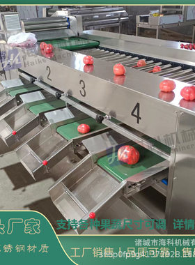 全自动果蔬重量分选机 商用滚杠式红薯橘子分级机土豆龙眼筛分机