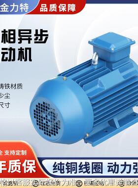 定制生产三相异步电动机YE3-100L1-4 2.2w机械设备卧式立式电机