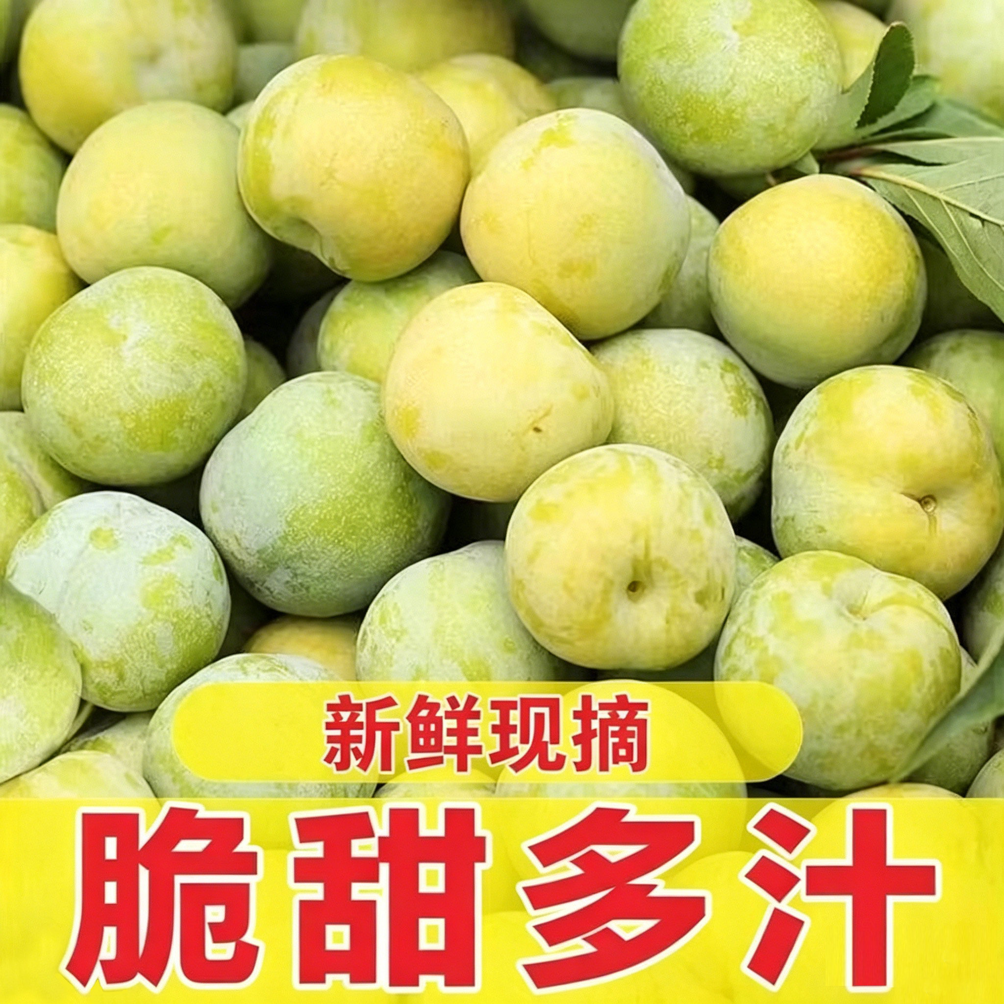 李子新鲜四川脱骨李应季水果青脆李整箱孕妇酸甜李子时令特产批发
