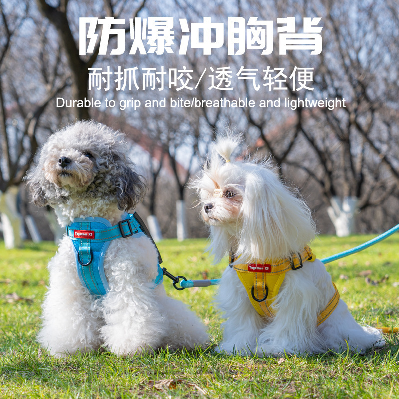 新款狗狗牵引绳可调节式遛狗